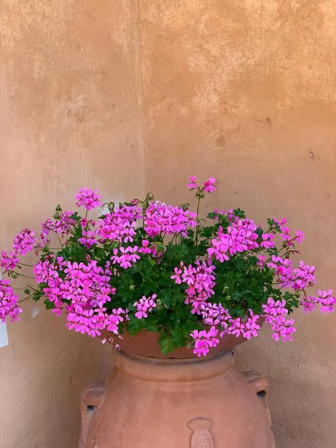 Fattoria Di Catignano Guest House San Giovanni